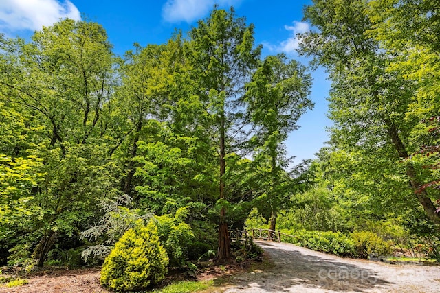 3739 Pickens Hwy, Rosman, NC 28772 - view of tree filled area