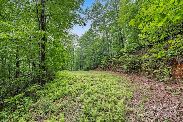 3739 Pickens Hwy, Rosman, NC 28772 - view of yard featuring a forest view