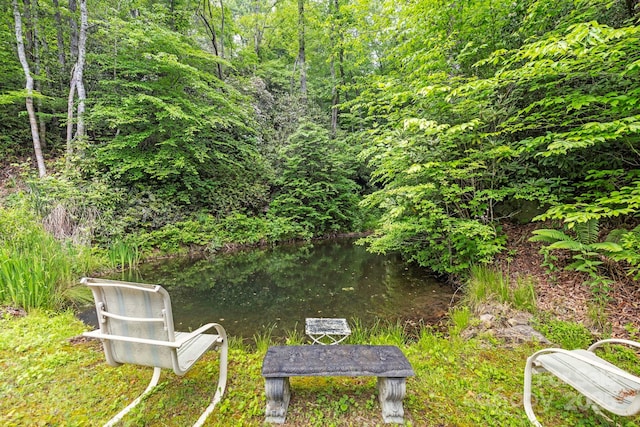 3739 Pickens Hwy, Rosman, NC 28772 - view of yard