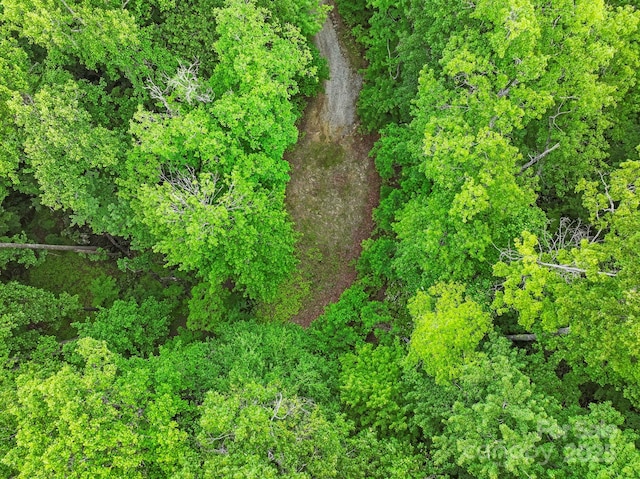 3739 Pickens Hwy, Rosman, NC 28772 - view of undeveloped land