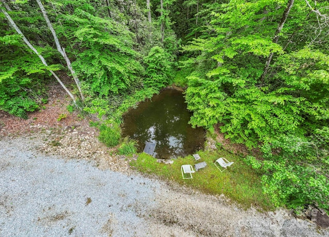 3739 Pickens Hwy, Rosman, NC 28772 - view of undeveloped land