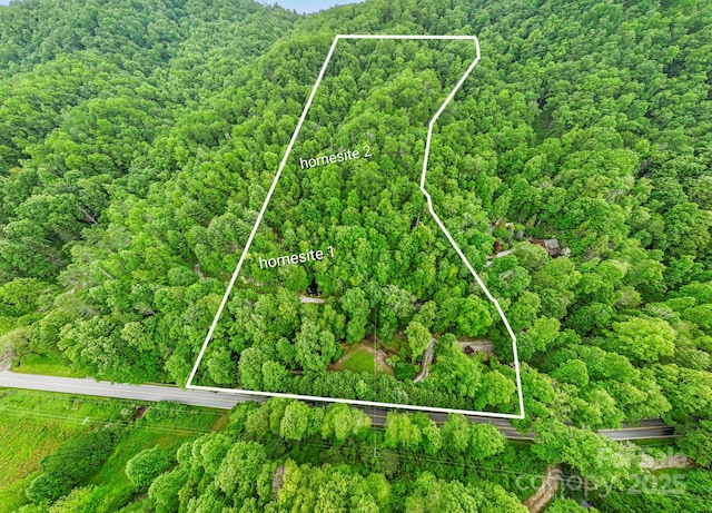 3739 Pickens Hwy, Rosman, NC 28772 - aerial view of property and surrounding area featuring a forest and property parcel outlined