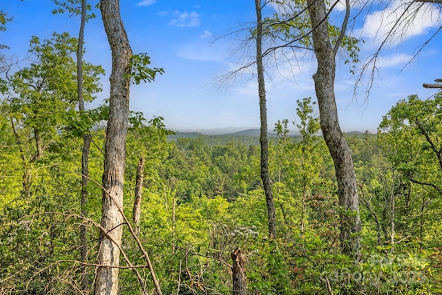 251 Paul Mccoy Rd Unit 1, 2, 3, 4, 5, Lake Toxaway, NC 28747