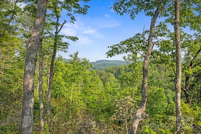 251 Paul Mccoy Rd Unit 1, 2, 3, 4, 5, Lake Toxaway, NC 28747