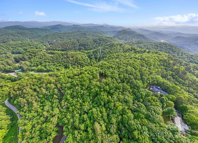 251 Paul Mccoy Rd Unit 1, 2, 3, 4, 5, Lake Toxaway, NC 28747