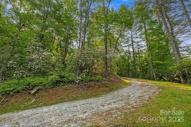 251 Paul Mccoy Rd Unit 1, 2, 3, 4, 5, Lake Toxaway, NC 28747