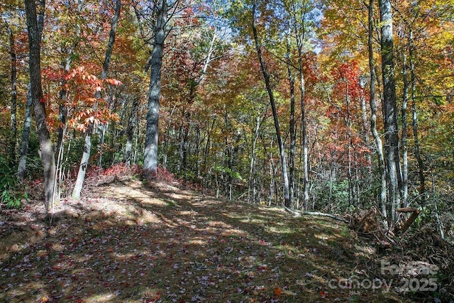 251 Paul Mccoy Rd, Lake Toxaway, NC 28747