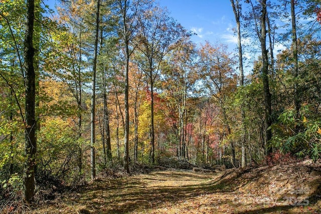 251 Paul Mccoy Rd Unit 1, 2, 3, 4, 5, Lake Toxaway, NC 28747