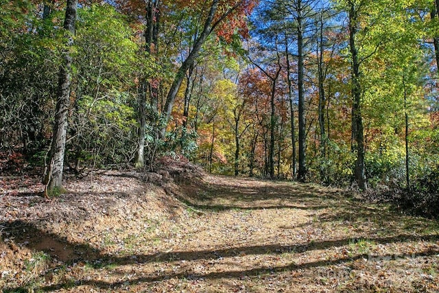 251 Paul Mccoy Rd Unit 1, 2, 3, 4, 5, Lake Toxaway, NC 28747