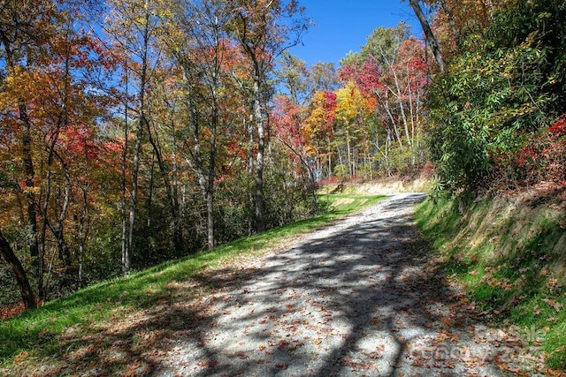 251 Paul Mccoy Rd Unit 1, 2, 3, 4, 5, Lake Toxaway, NC 28747