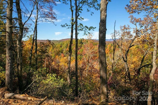 251 Paul Mccoy Rd Unit 1, 2, 3, 4, 5, Lake Toxaway, NC 28747