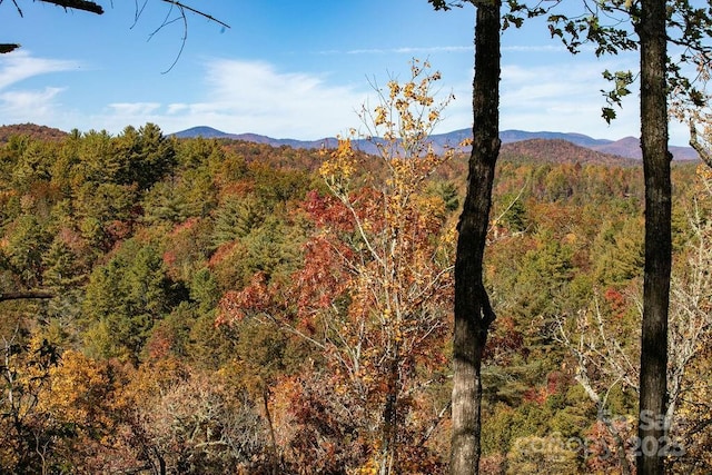 251 Paul Mccoy Rd Unit 1, 2, 3, 4, 5, Lake Toxaway, NC 28747