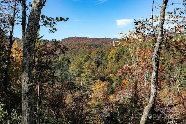251 Paul Mccoy Rd Unit 1, 2, 3, 4, 5, Lake Toxaway, NC 28747
