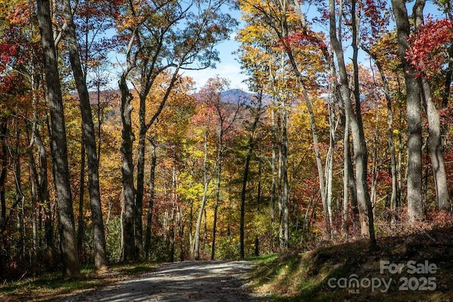 251 Paul Mccoy Rd Unit 1, 2, 3, 4, 5, Lake Toxaway, NC 28747