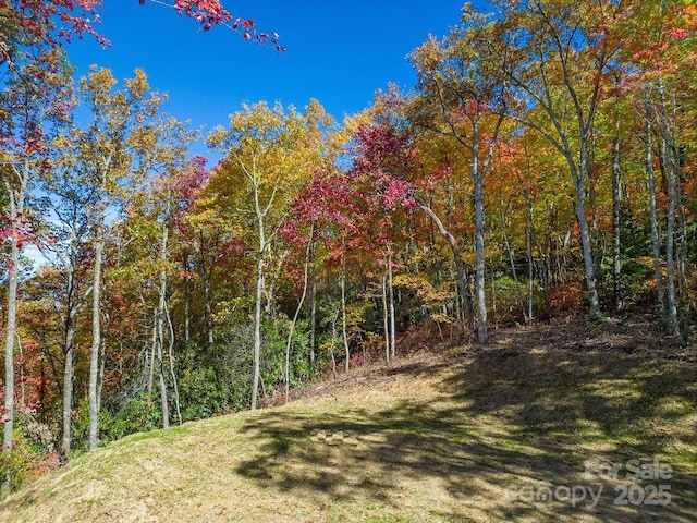 251 Paul Mccoy Rd Unit 1, 2, 3, 4, 5, Lake Toxaway, NC 28747