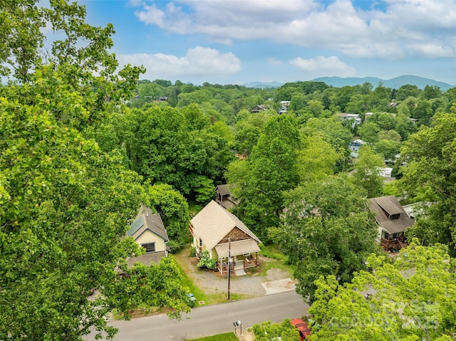 9 Reynolds Rd, Asheville, NC 28806 - photo 7