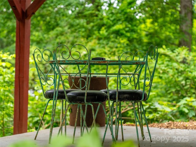 9 Reynolds Rd, Asheville, NC 28806 - photo 48