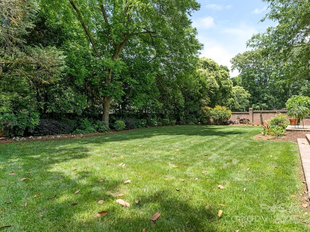 2516 Selwyn Ave, Charlotte, NC 28209 - view of yard