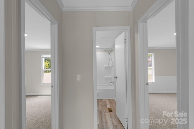 5606 S Rocky River Rd, Monroe, NC 28112 - hall featuring carpet flooring, crown molding, healthy amount of natural light, and baseboards