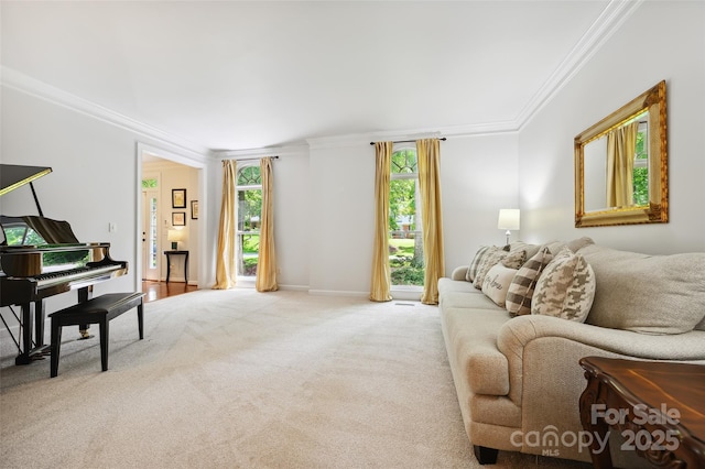 8217 Lansford Rd, Charlotte, NC 28277 - living area with crown molding and light carpet