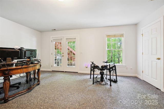 8217 Lansford Rd, Charlotte, NC 28277 - office space featuring french doors and carpet flooring