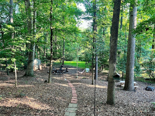 8217 Lansford Rd, Charlotte, NC 28277 - view of yard