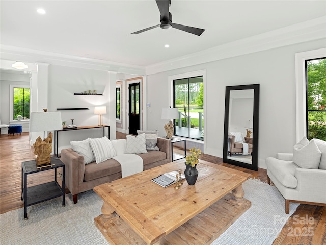 146 Lower Brush Creek Rd, Fletcher, NC 28732 - living area with plenty of natural light, light wood-type flooring, a ceiling fan, crown molding, and recessed lighting