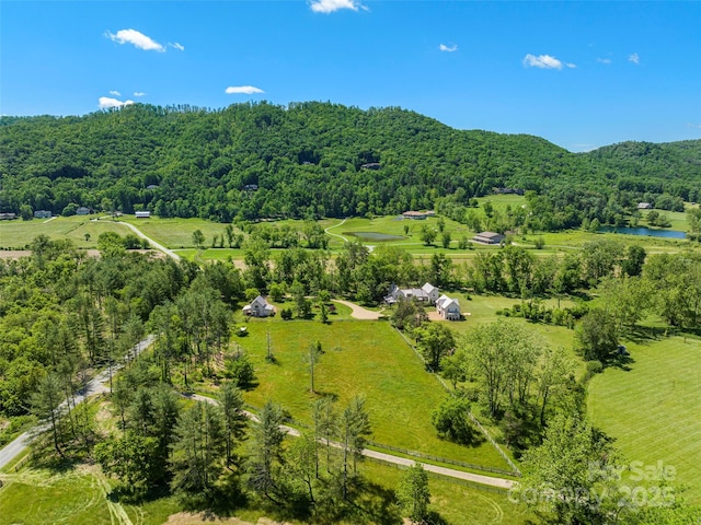 146 Lower Brush Creek Rd, Fletcher, NC 28732 - view of rural area with a heavily wooded area and a large body of water