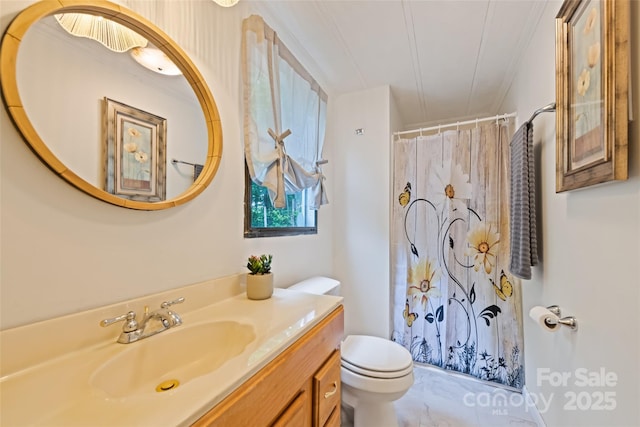 100 Bettys Dr, Waynesville, NC 28786 - bathroom with toilet, vanity, a shower with shower curtain, and ornamental molding