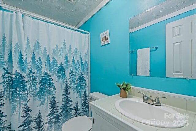100 Bettys Dr, Waynesville, NC 28786 - full bath with vanity, toilet, a textured ceiling, and a shower with shower curtain