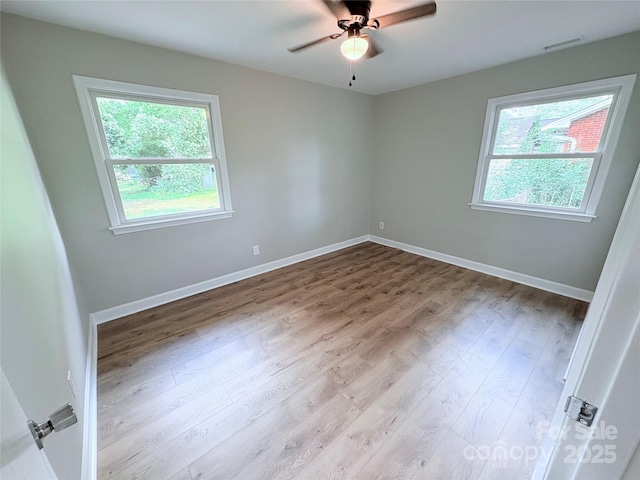 4209 Donnybrook Pl, Charlotte, NC 28205 - photo 8