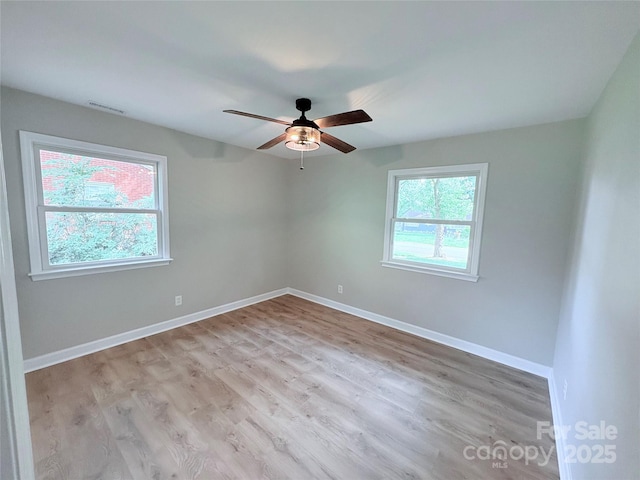4209 Donnybrook Pl, Charlotte, NC 28205 - photo 10