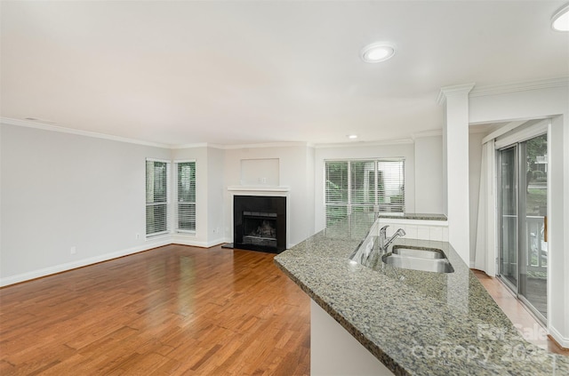 2512 Cranbrook Ln Unit 9, Charlotte, NC 28207 - kitchen featuring a sink, ornamental molding, light wood finished floors, a fireplace, and light stone countertops