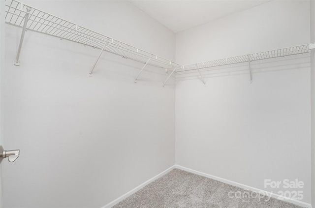 2512 Cranbrook Ln Unit 9, Charlotte, NC 28207 - walk in closet with carpet flooring