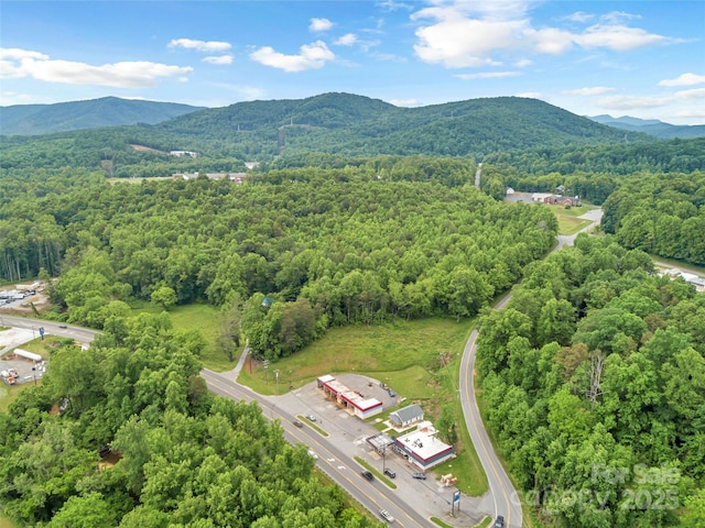 2730 NC-226 Hwy S, Marion, NC 28752