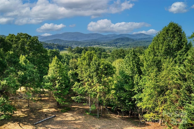 V/L Smith Knolls Road, Fairview, NC 28730 - photo 1