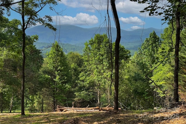 V/L Smith Knolls Road, Fairview, NC 28730 - photo 2