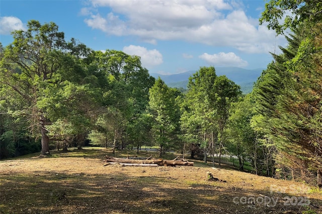 V/L Smith Knolls Road, Fairview, NC 28730 - photo 3