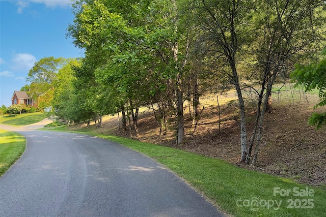 V/L Smith Knolls Road, Fairview, NC 28730 - photo 4