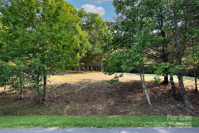 V/L Smith Knolls Road, Fairview, NC 28730 - photo 5