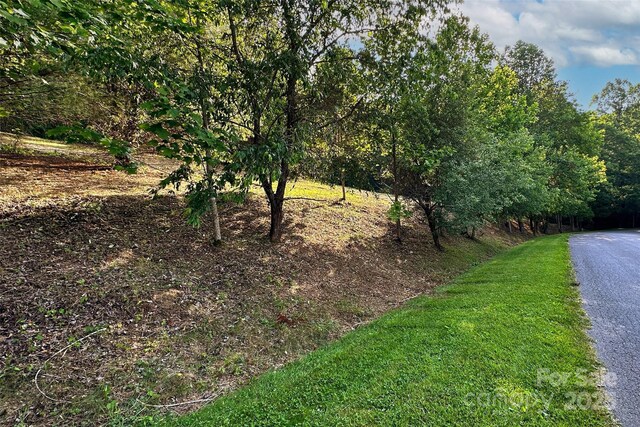 V/L Smith Knolls Road, Fairview, NC 28730 - photo 6
