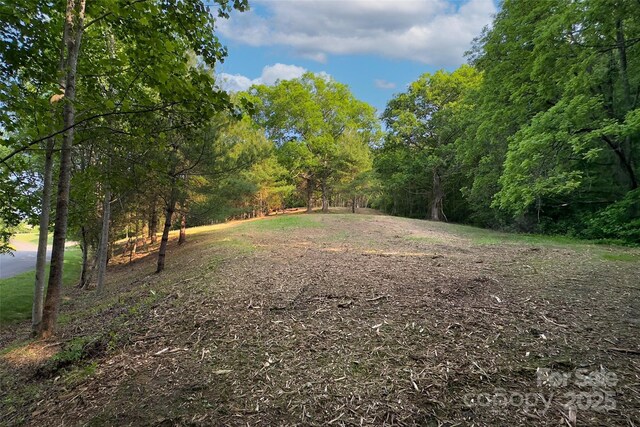 V/L Smith Knolls Road, Fairview, NC 28730 - photo 7