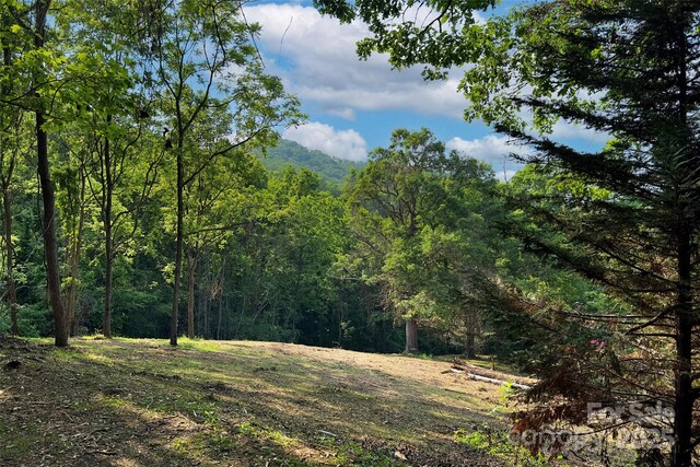 V/L Smith Knolls Road, Fairview, NC 28730 - photo 8