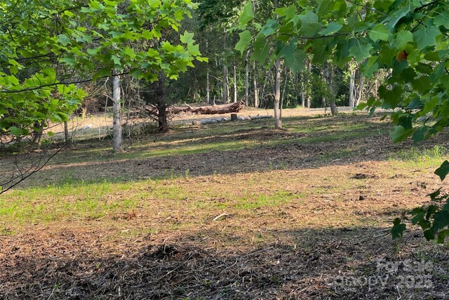 V/L Smith Knolls Road, Fairview, NC 28730 - photo 9