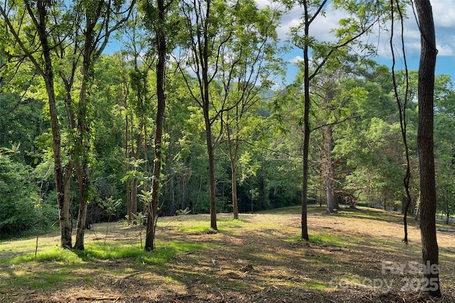 V/L Smith Knolls Road, Fairview, NC 28730 - photo 10