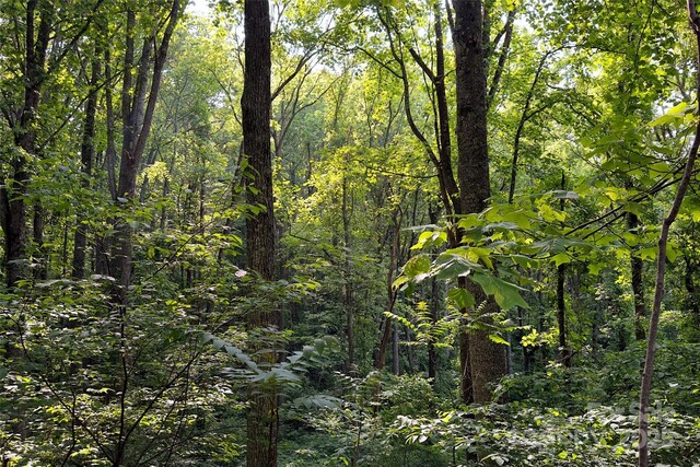 V/L Smith Knolls Road, Fairview, NC 28730 - photo 11