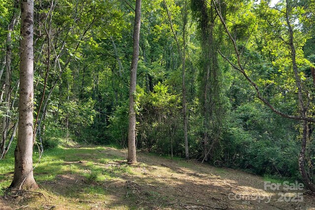 V/L Smith Knolls Road, Fairview, NC 28730 - photo 12