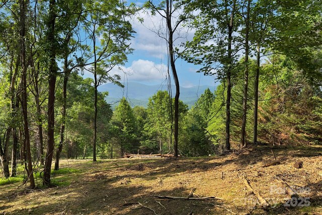 V/L Smith Knolls Road, Fairview, NC 28730 - photo 14