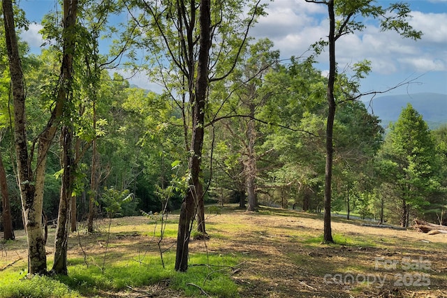V/L Smith Knolls Road, Fairview, NC 28730 - photo 15