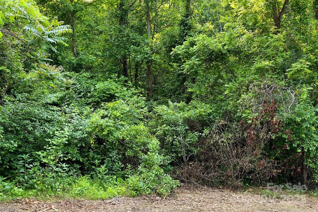 V/L Smith Knolls Road, Fairview, NC 28730 - photo 16